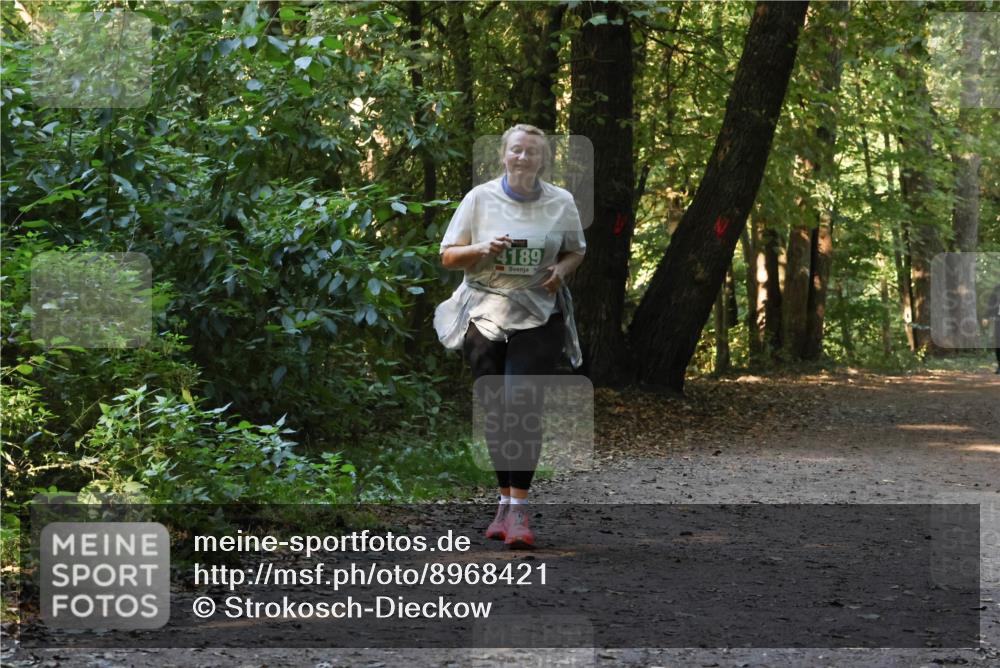 28.09.2025 - 33. Volkslauf durch das schöne Alstertal Strokosch-Dieckow http://msf.ph/oto/8968421 28.09.2025 10:59:37 Laufen 4189 meine-sportfotos.de