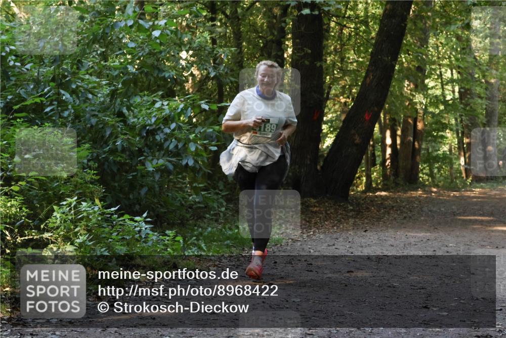 28.09.2025 - 33. Volkslauf durch das schöne Alstertal Strokosch-Dieckow http://msf.ph/oto/8968422 28.09.2025 10:59:37 Laufen 189 meine-sportfotos.de