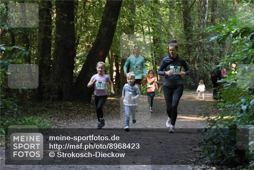 28.09.2025 - 33. Volkslauf durch das schöne Alstertal Strokosch-Dieckow http://msf.ph/oto/8968423 28.09.2025 11:00:24 Laufen 4148, 4151, 4149 meine-sportfotos.de