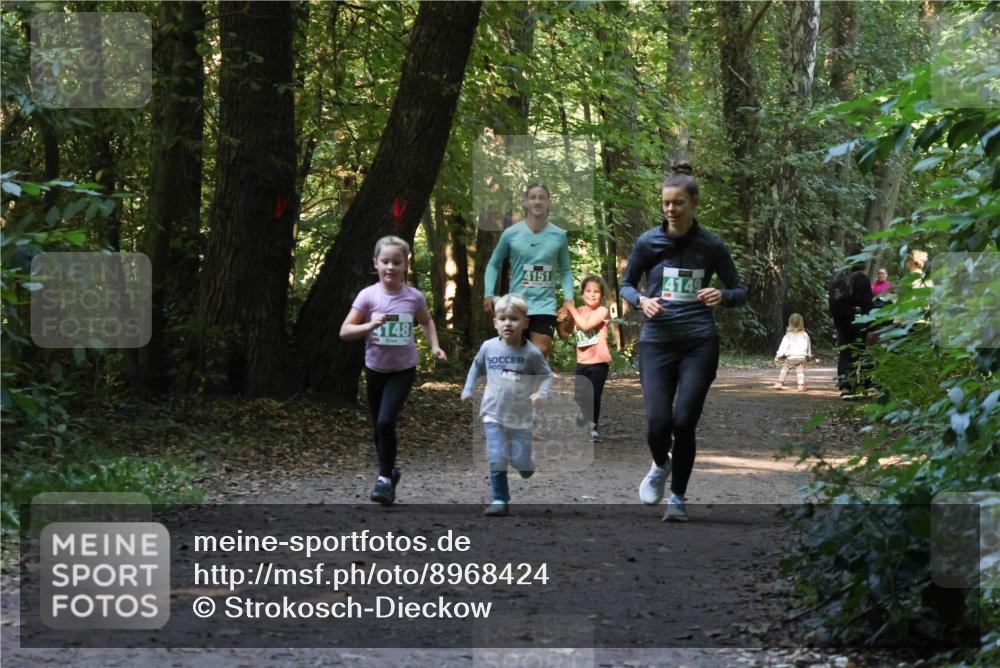 28.09.2025 - 33. Volkslauf durch das schöne Alstertal Strokosch-Dieckow http://msf.ph/oto/8968424 28.09.2025 11:00:24 Laufen 4148 meine-sportfotos.de