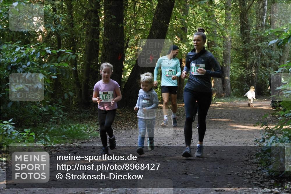 28.09.2025 - 33. Volkslauf durch das schöne Alstertal Strokosch-Dieckow http://msf.ph/oto/8968427 28.09.2025 11:00:26 Laufen 4148, 4151, 41 meine-sportfotos.de