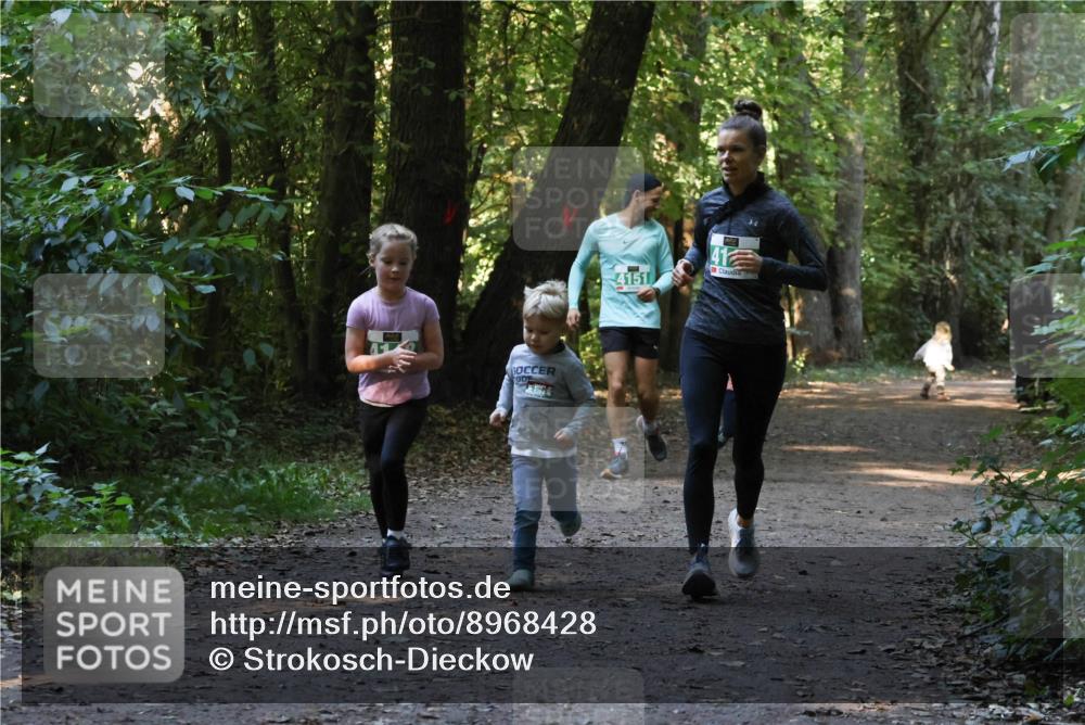 28.09.2025 - 33. Volkslauf durch das schöne Alstertal Strokosch-Dieckow http://msf.ph/oto/8968428 28.09.2025 11:00:26 Laufen 4151, 41 meine-sportfotos.de