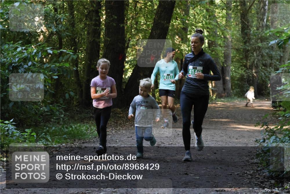 28.09.2025 - 33. Volkslauf durch das schöne Alstertal Strokosch-Dieckow http://msf.ph/oto/8968429 28.09.2025 11:00:26 Laufen 4151, 4149 meine-sportfotos.de