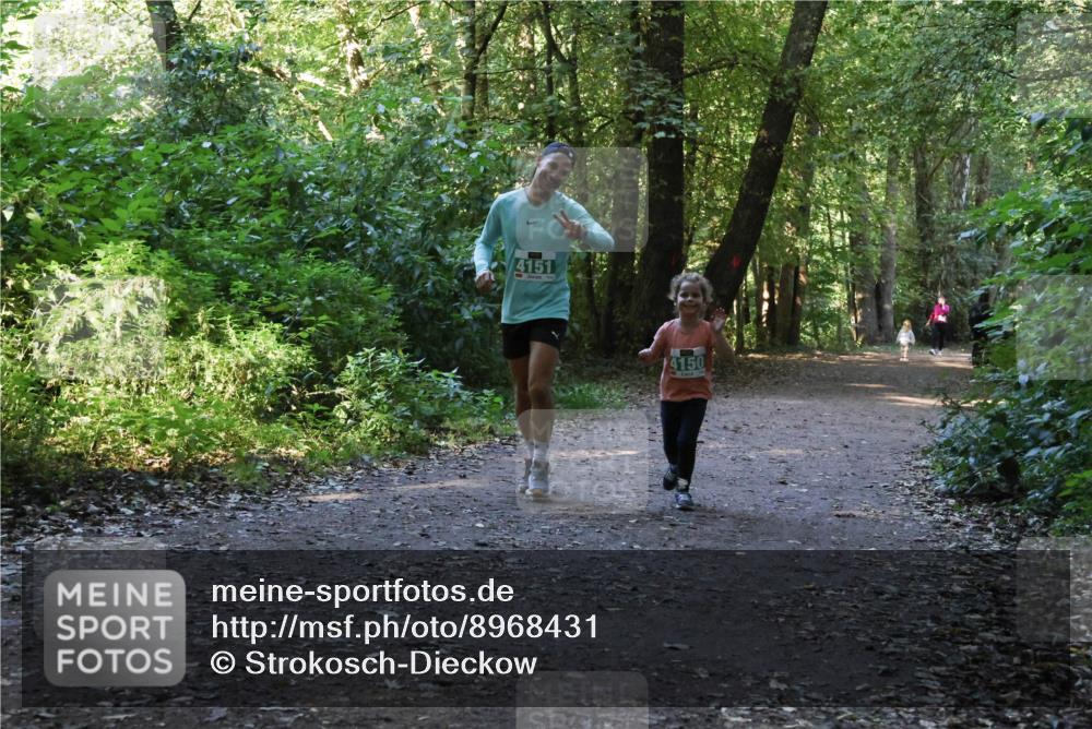 28.09.2025 - 33. Volkslauf durch das schöne Alstertal Strokosch-Dieckow http://msf.ph/oto/8968431 28.09.2025 11:00:31 Laufen 4151, 4150 meine-sportfotos.de