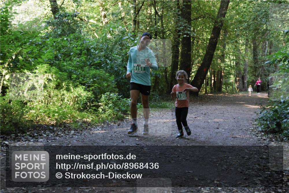 28.09.2025 - 33. Volkslauf durch das schöne Alstertal Strokosch-Dieckow http://msf.ph/oto/8968436 28.09.2025 11:00:31 Laufen 4151, 4150 meine-sportfotos.de
