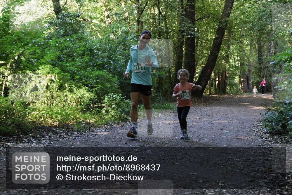 28.09.2025 - 33. Volkslauf durch das schöne Alstertal Strokosch-Dieckow http://msf.ph/oto/8968437 28.09.2025 11:00:31 Laufen 4151, 150 meine-sportfotos.de