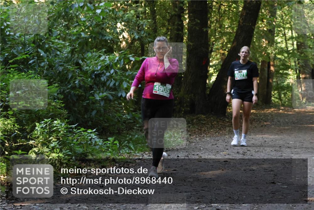 28.09.2025 - 33. Volkslauf durch das schöne Alstertal Strokosch-Dieckow http://msf.ph/oto/8968440 28.09.2025 11:00:57 Laufen 4905, 3, 4071 meine-sportfotos.de