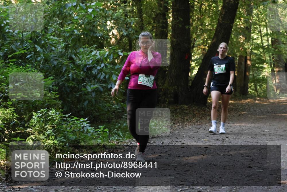 28.09.2025 - 33. Volkslauf durch das schöne Alstertal Strokosch-Dieckow http://msf.ph/oto/8968441 28.09.2025 11:00:57 Laufen 4905 meine-sportfotos.de