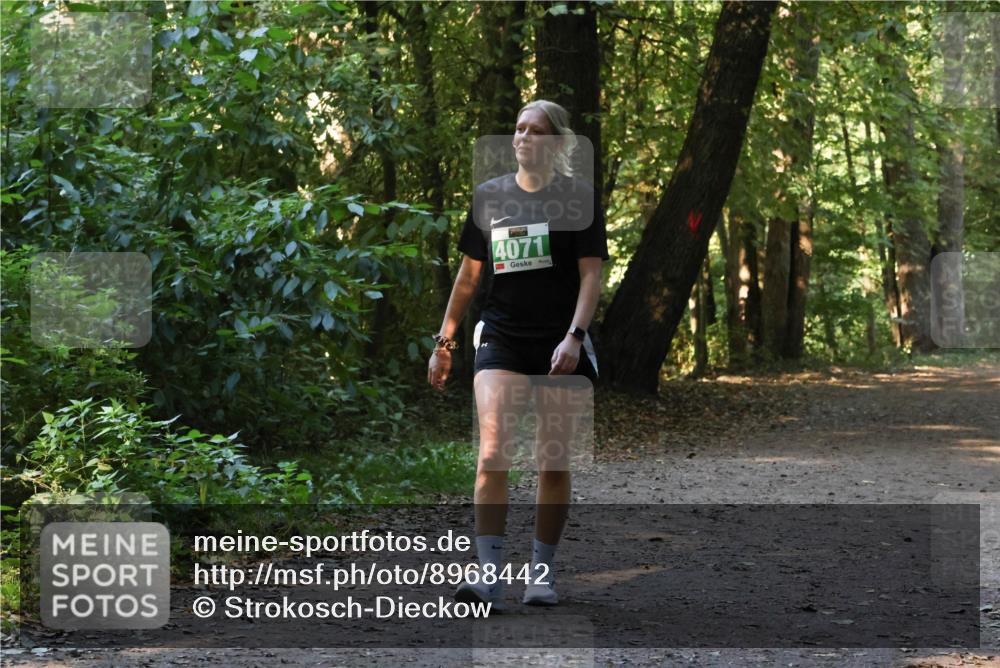 28.09.2025 - 33. Volkslauf durch das schöne Alstertal Strokosch-Dieckow http://msf.ph/oto/8968442 28.09.2025 11:01:01 Laufen 4071 meine-sportfotos.de