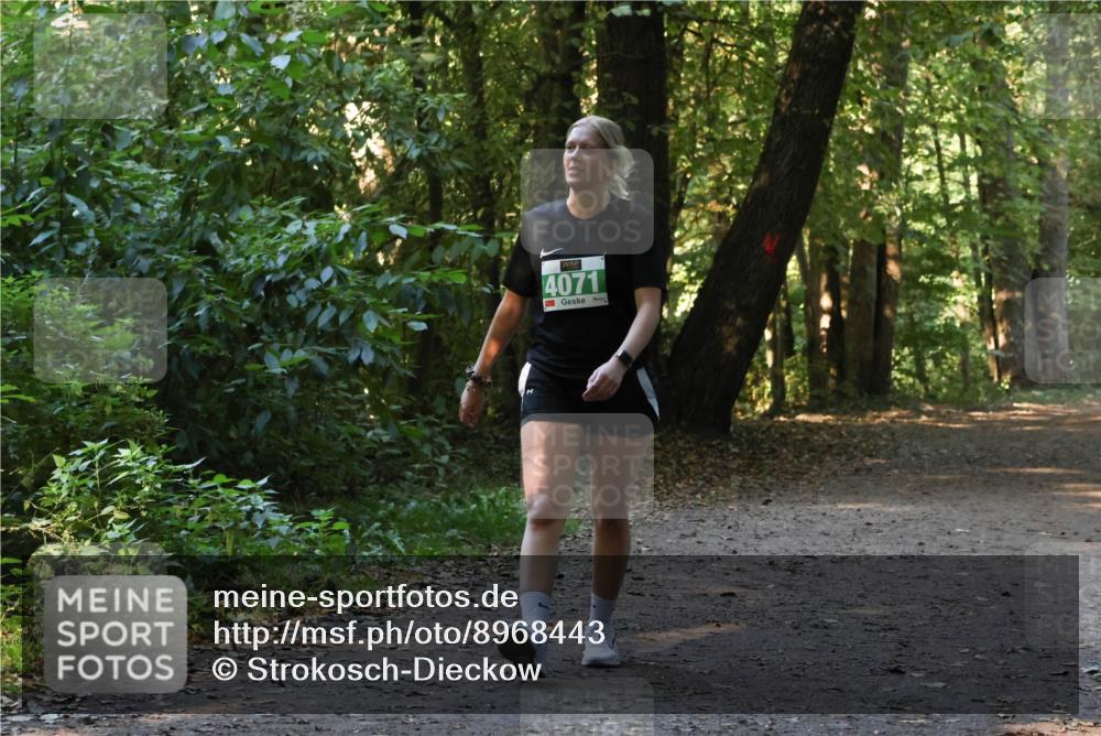 28.09.2025 - 33. Volkslauf durch das schöne Alstertal Strokosch-Dieckow http://msf.ph/oto/8968443 28.09.2025 11:01:01 Laufen 4071 meine-sportfotos.de