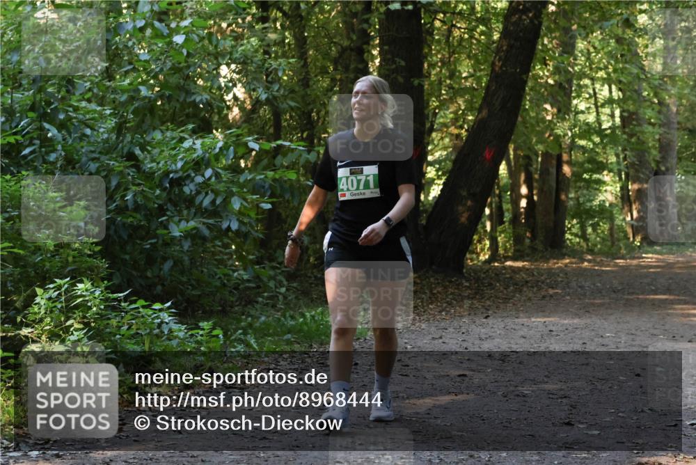 28.09.2025 - 33. Volkslauf durch das schöne Alstertal Strokosch-Dieckow http://msf.ph/oto/8968444 28.09.2025 11:01:01 Laufen 4071, 3 meine-sportfotos.de