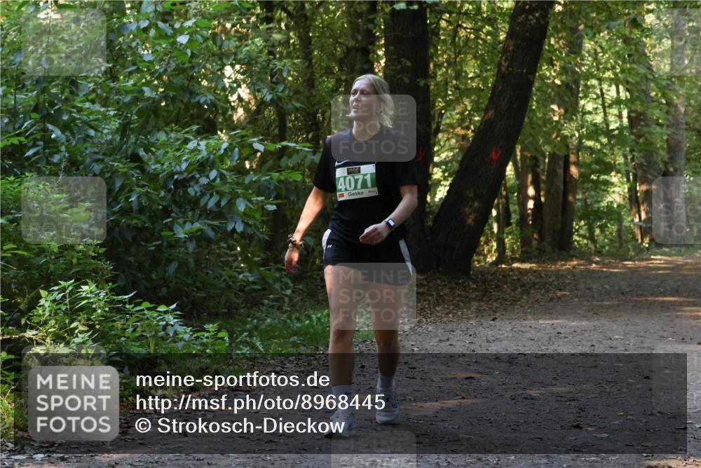 28.09.2025 - 33. Volkslauf durch das schöne Alstertal Strokosch-Dieckow http://msf.ph/oto/8968445 28.09.2025 11:01:01 Laufen 4071 meine-sportfotos.de
