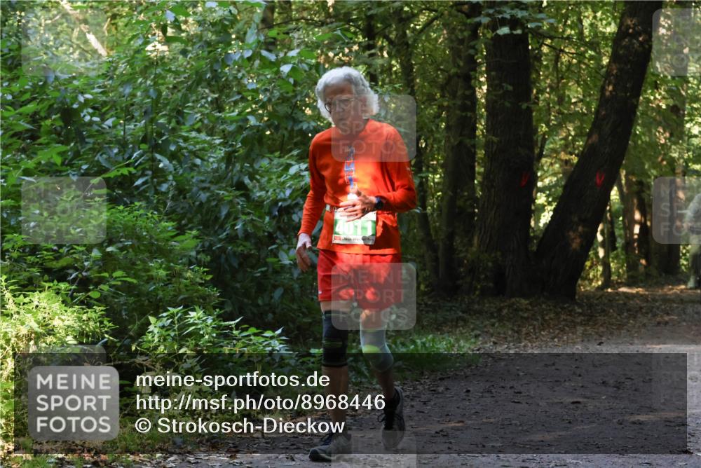 28.09.2025 - 33. Volkslauf durch das schöne Alstertal Strokosch-Dieckow http://msf.ph/oto/8968446 28.09.2025 11:01:24 Laufen 4011 meine-sportfotos.de