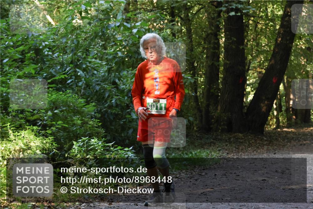 28.09.2025 - 33. Volkslauf durch das schöne Alstertal Strokosch-Dieckow http://msf.ph/oto/8968448 28.09.2025 11:01:24 Laufen 4011 meine-sportfotos.de
