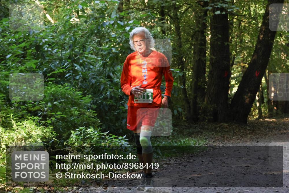 28.09.2025 - 33. Volkslauf durch das schöne Alstertal Strokosch-Dieckow http://msf.ph/oto/8968449 28.09.2025 11:01:24 Laufen  meine-sportfotos.de