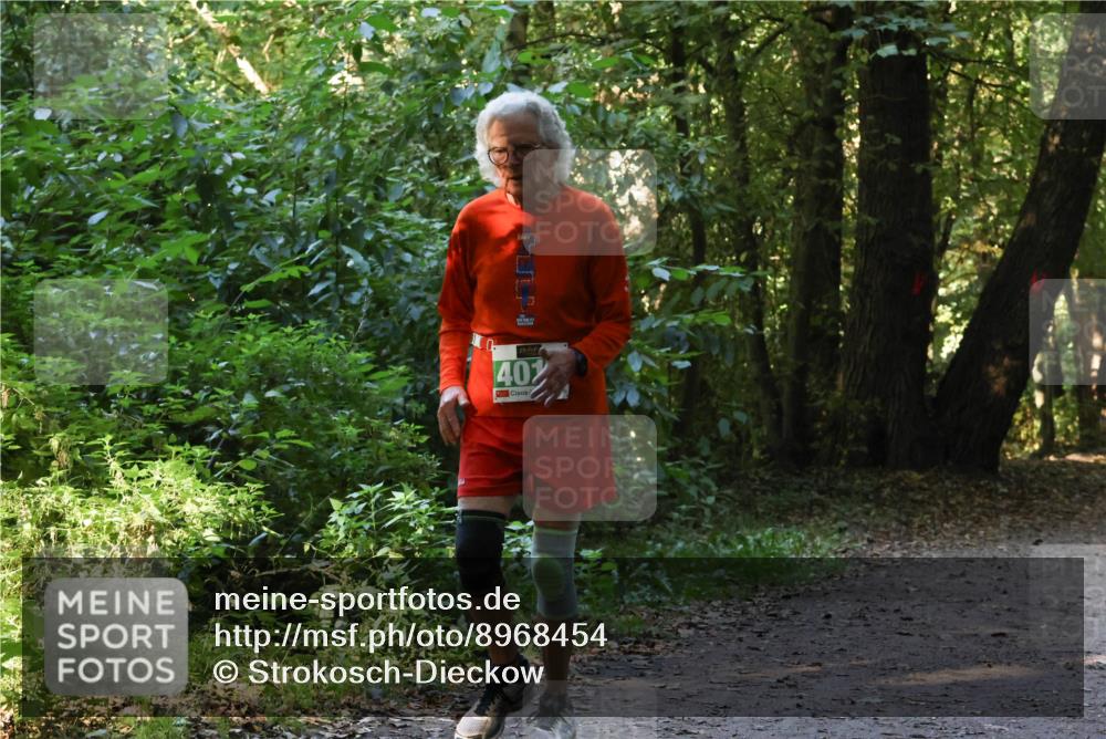28.09.2025 - 33. Volkslauf durch das schöne Alstertal Strokosch-Dieckow http://msf.ph/oto/8968454 28.09.2025 11:01:25 Laufen 40 meine-sportfotos.de