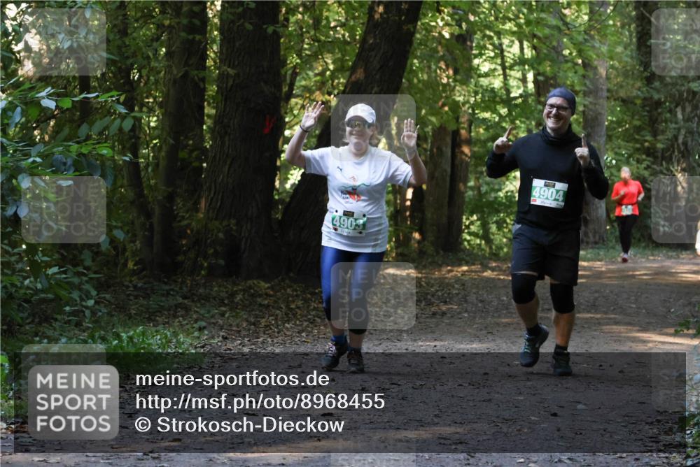 28.09.2025 - 33. Volkslauf durch das schöne Alstertal Strokosch-Dieckow http://msf.ph/oto/8968455 28.09.2025 11:01:36 Laufen 4903, 4904 meine-sportfotos.de
