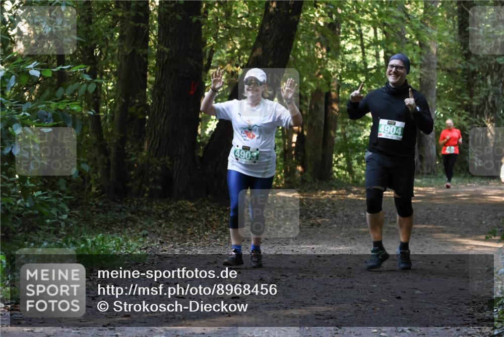 28.09.2025 - 33. Volkslauf durch das schöne Alstertal Strokosch-Dieckow http://msf.ph/oto/8968456 28.09.2025 11:01:36 Laufen 4903, 4904 meine-sportfotos.de