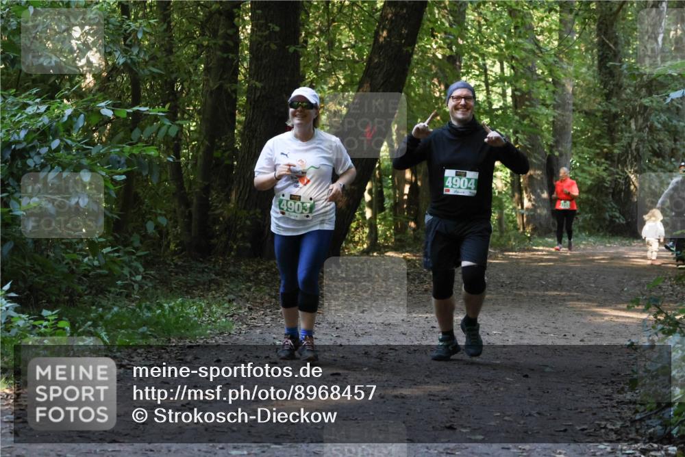 28.09.2025 - 33. Volkslauf durch das schöne Alstertal Strokosch-Dieckow http://msf.ph/oto/8968457 28.09.2025 11:01:37 Laufen 4903, 4904, 3 meine-sportfotos.de