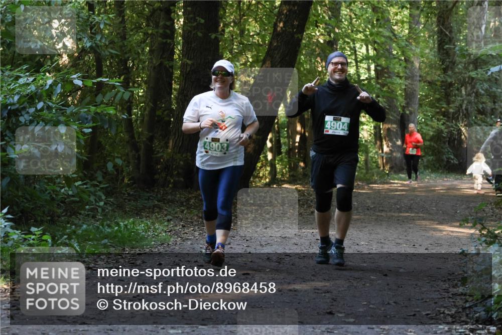 28.09.2025 - 33. Volkslauf durch das schöne Alstertal Strokosch-Dieckow http://msf.ph/oto/8968458 28.09.2025 11:01:37 Laufen 4903, 4904 meine-sportfotos.de