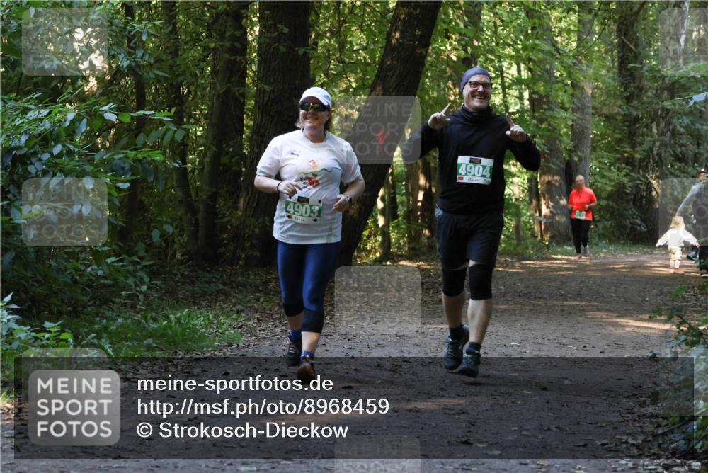 28.09.2025 - 33. Volkslauf durch das schöne Alstertal Strokosch-Dieckow http://msf.ph/oto/8968459 28.09.2025 11:01:37 Laufen 4903, 4904 meine-sportfotos.de