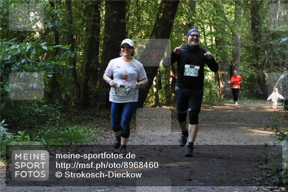 28.09.2025 - 33. Volkslauf durch das schöne Alstertal Strokosch-Dieckow http://msf.ph/oto/8968460 28.09.2025 11:01:37 Laufen 4903, 4904 meine-sportfotos.de