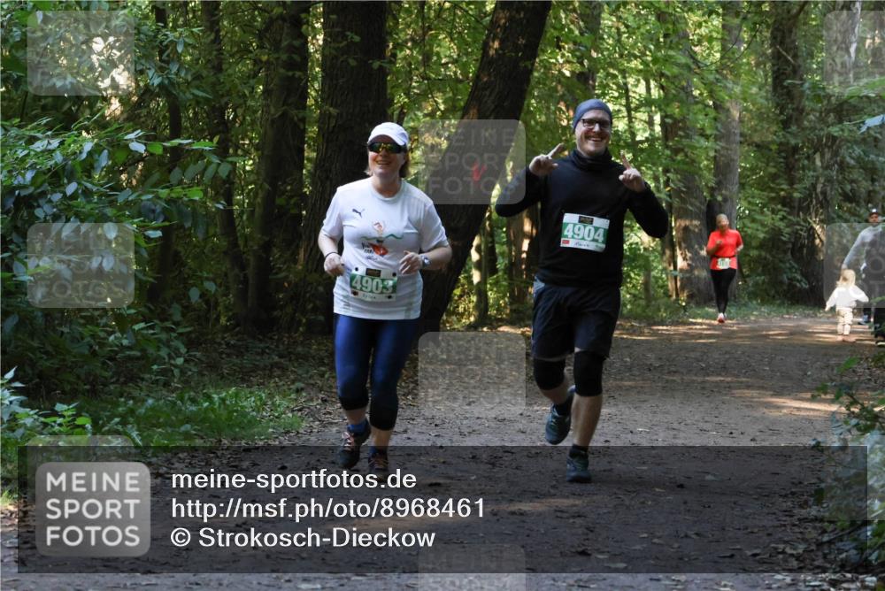 28.09.2025 - 33. Volkslauf durch das schöne Alstertal Strokosch-Dieckow http://msf.ph/oto/8968461 28.09.2025 11:01:37 Laufen 4903, 4904 meine-sportfotos.de