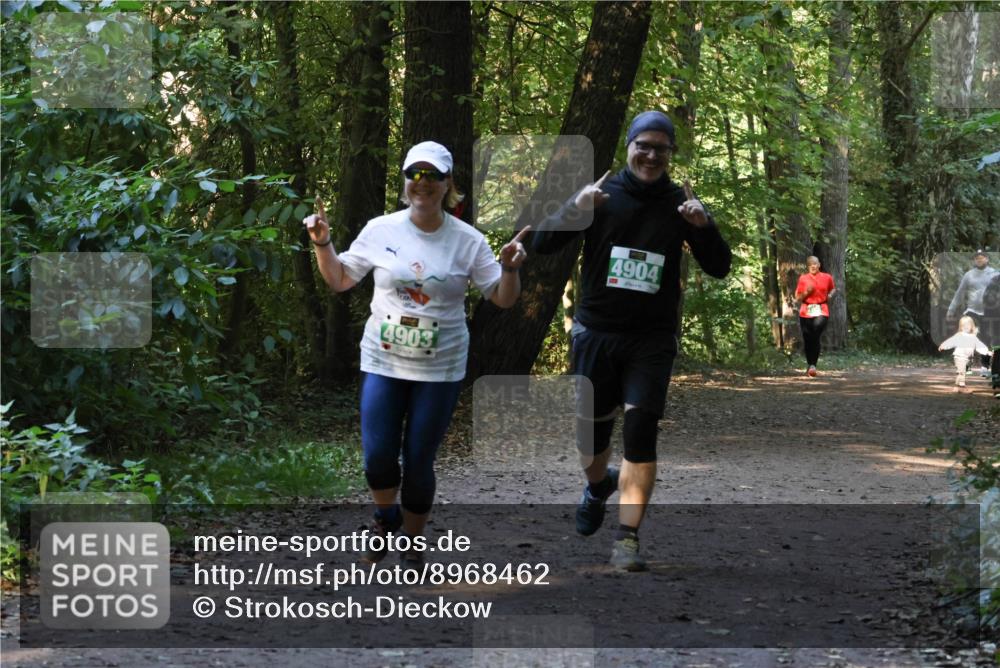 28.09.2025 - 33. Volkslauf durch das schöne Alstertal Strokosch-Dieckow http://msf.ph/oto/8968462 28.09.2025 11:01:38 Laufen 4903, 4904 meine-sportfotos.de