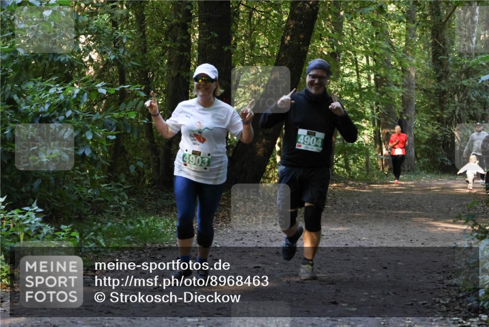 28.09.2025 - 33. Volkslauf durch das schöne Alstertal Strokosch-Dieckow http://msf.ph/oto/8968463 28.09.2025 11:01:38 Laufen 4903, 4904 meine-sportfotos.de