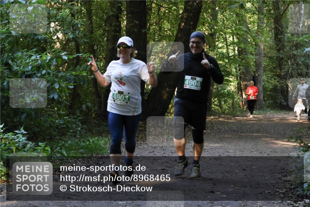 28.09.2025 - 33. Volkslauf durch das schöne Alstertal Strokosch-Dieckow http://msf.ph/oto/8968465 28.09.2025 11:01:38 Laufen 4903, 4904 meine-sportfotos.de
