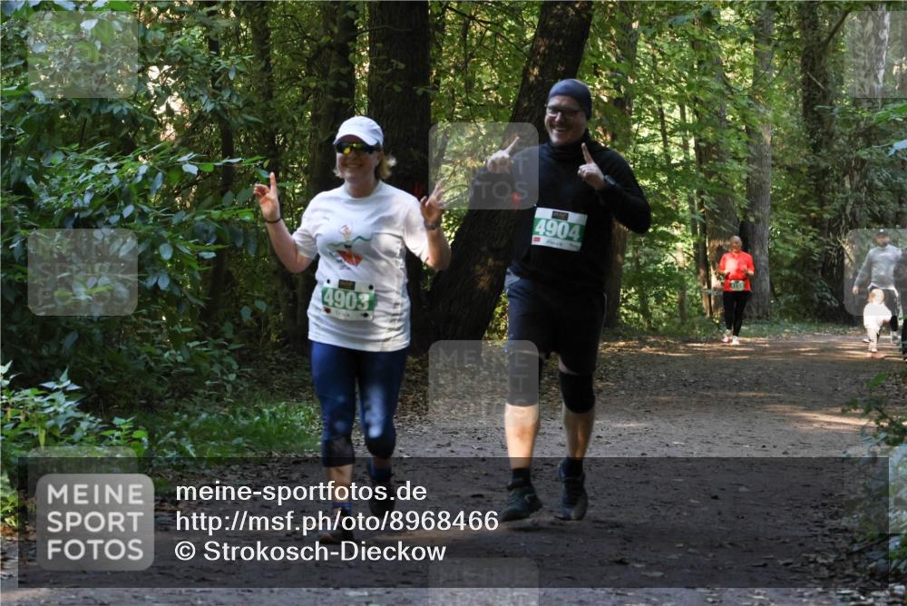 28.09.2025 - 33. Volkslauf durch das schöne Alstertal Strokosch-Dieckow http://msf.ph/oto/8968466 28.09.2025 11:01:38 Laufen 4903, 4904 meine-sportfotos.de