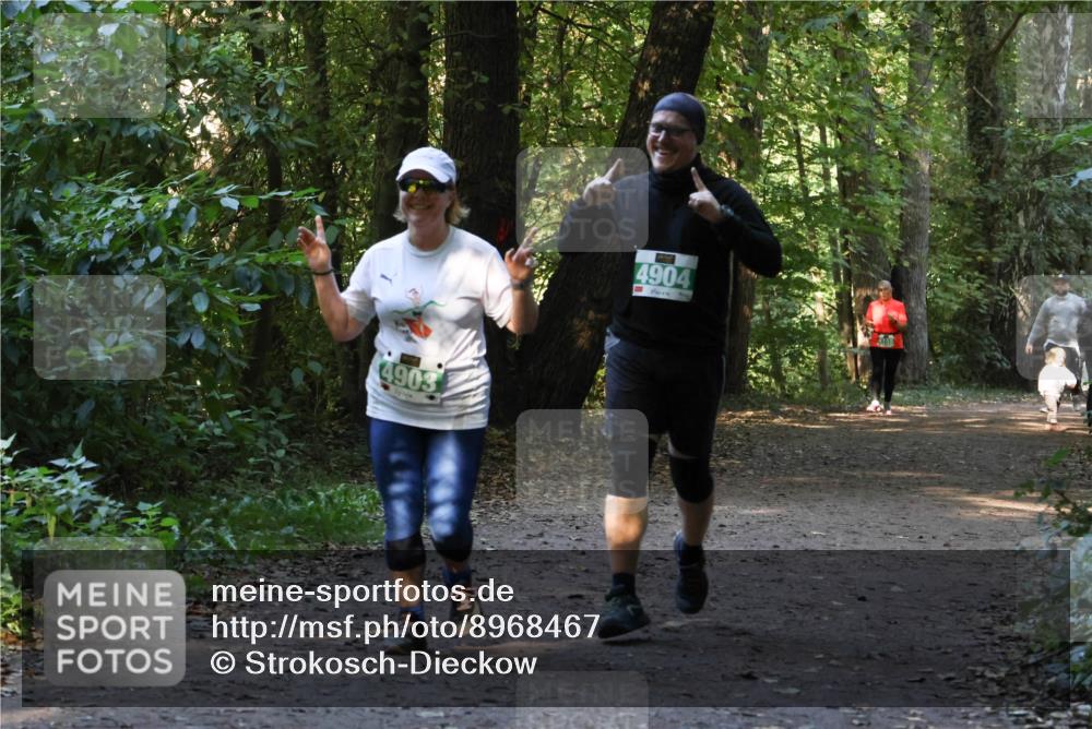 28.09.2025 - 33. Volkslauf durch das schöne Alstertal Strokosch-Dieckow http://msf.ph/oto/8968467 28.09.2025 11:01:38 Laufen 4903, 4904 meine-sportfotos.de