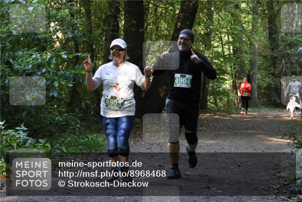 28.09.2025 - 33. Volkslauf durch das schöne Alstertal Strokosch-Dieckow http://msf.ph/oto/8968468 28.09.2025 11:01:38 Laufen 4903, 4904 meine-sportfotos.de