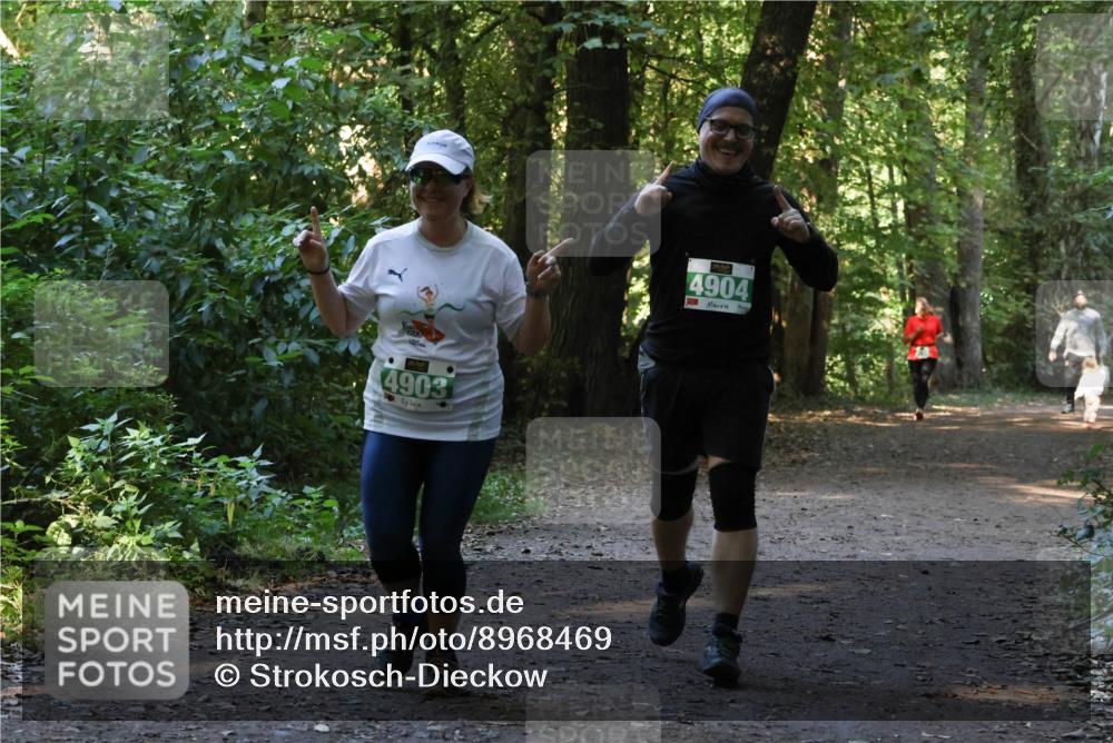 28.09.2025 - 33. Volkslauf durch das schöne Alstertal Strokosch-Dieckow http://msf.ph/oto/8968469 28.09.2025 11:01:39 Laufen 4903, 4904 meine-sportfotos.de