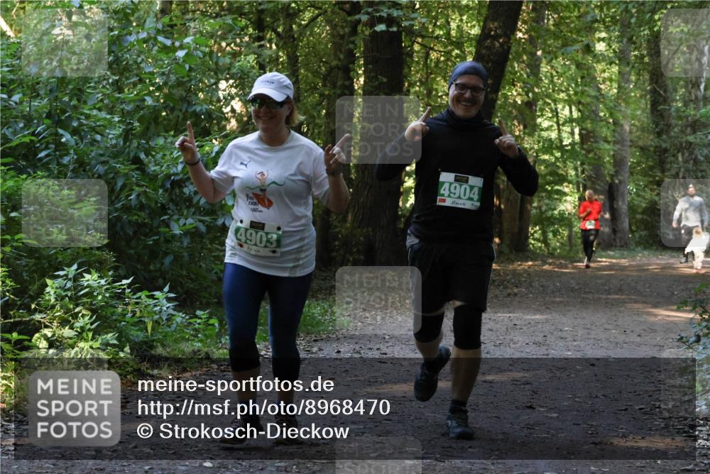 28.09.2025 - 33. Volkslauf durch das schöne Alstertal Strokosch-Dieckow http://msf.ph/oto/8968470 28.09.2025 11:01:39 Laufen 4903, 4904 meine-sportfotos.de