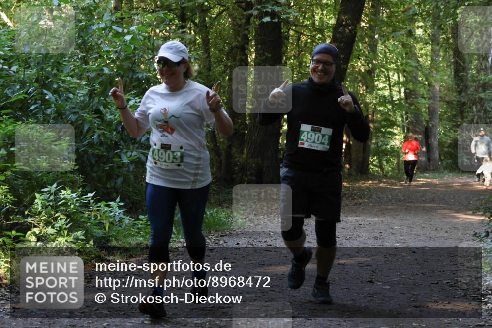 28.09.2025 - 33. Volkslauf durch das schöne Alstertal Strokosch-Dieckow http://msf.ph/oto/8968472 28.09.2025 11:01:40 Laufen 4903, 4904 meine-sportfotos.de