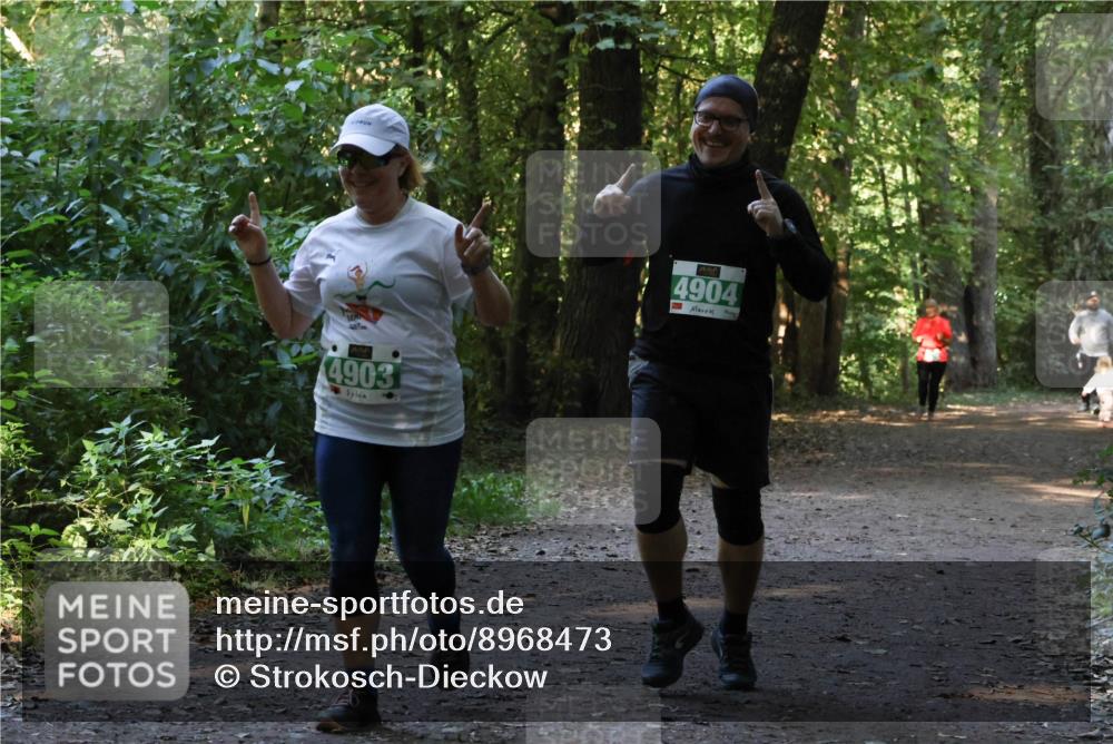 28.09.2025 - 33. Volkslauf durch das schöne Alstertal Strokosch-Dieckow http://msf.ph/oto/8968473 28.09.2025 11:01:40 Laufen 4903, 4904 meine-sportfotos.de