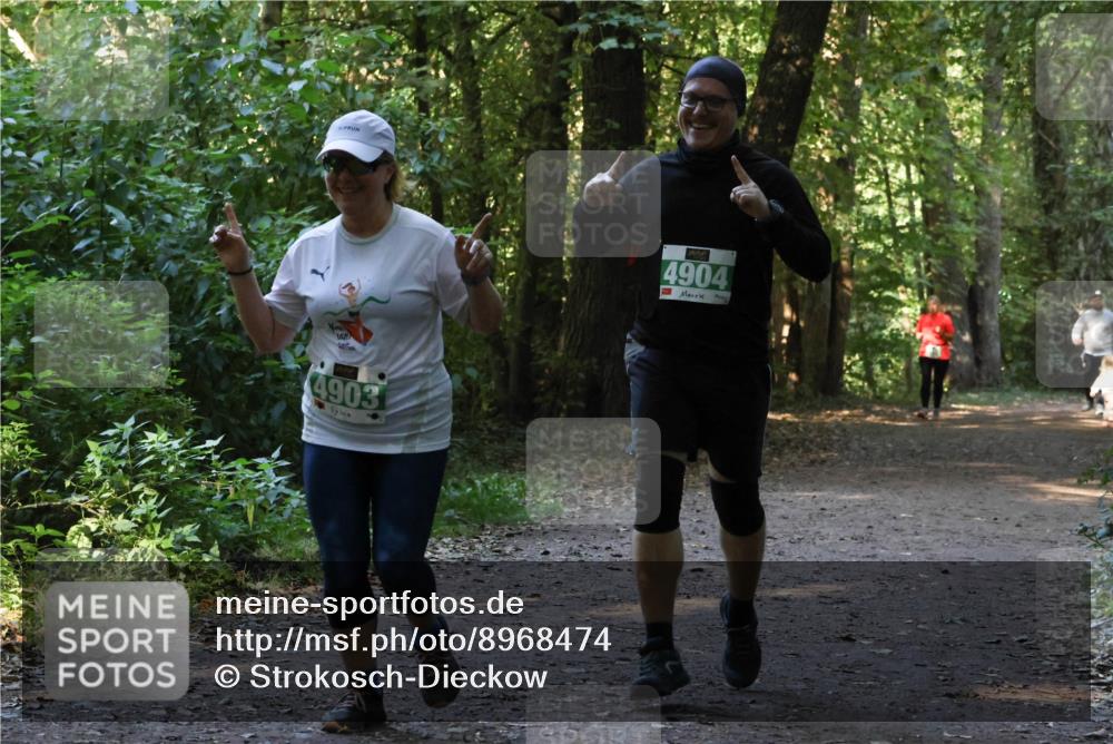 28.09.2025 - 33. Volkslauf durch das schöne Alstertal Strokosch-Dieckow http://msf.ph/oto/8968474 28.09.2025 11:01:40 Laufen 4903, 4904 meine-sportfotos.de