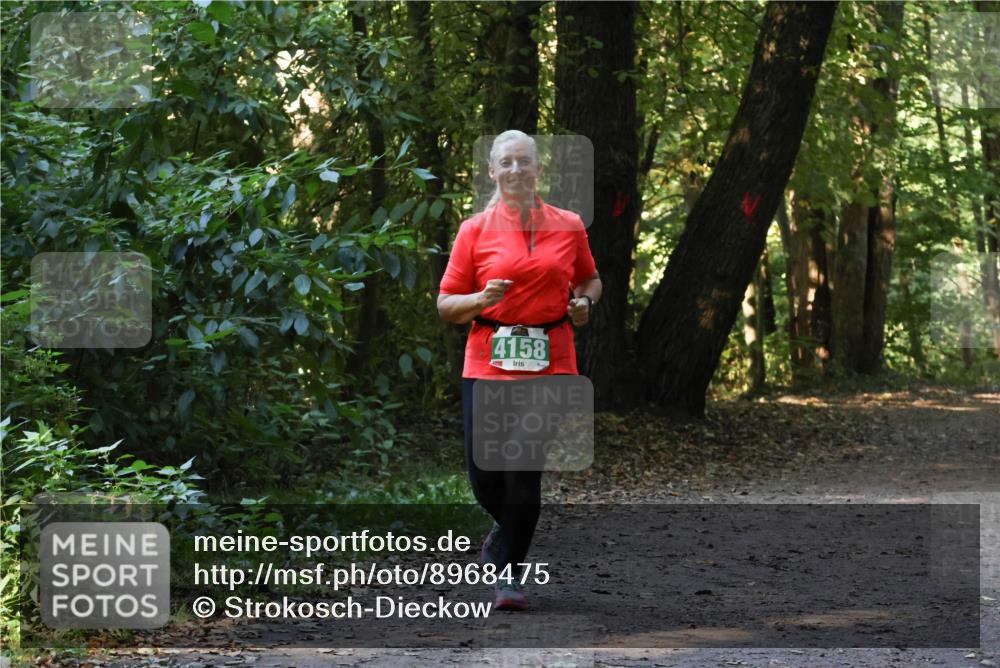 28.09.2025 - 33. Volkslauf durch das schöne Alstertal Strokosch-Dieckow http://msf.ph/oto/8968475 28.09.2025 11:01:52 Laufen 4158 meine-sportfotos.de