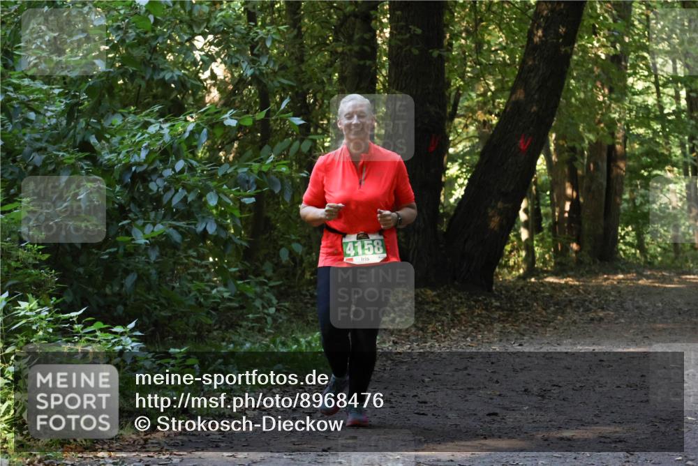 28.09.2025 - 33. Volkslauf durch das schöne Alstertal Strokosch-Dieckow http://msf.ph/oto/8968476 28.09.2025 11:01:52 Laufen 4158 meine-sportfotos.de