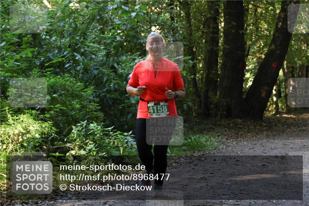 28.09.2025 - 33. Volkslauf durch das schöne Alstertal Strokosch-Dieckow http://msf.ph/oto/8968477 28.09.2025 11:01:54 Laufen 4158 meine-sportfotos.de