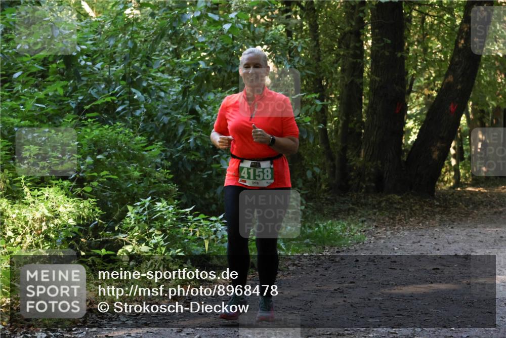 28.09.2025 - 33. Volkslauf durch das schöne Alstertal Strokosch-Dieckow http://msf.ph/oto/8968478 28.09.2025 11:01:54 Laufen 4158 meine-sportfotos.de