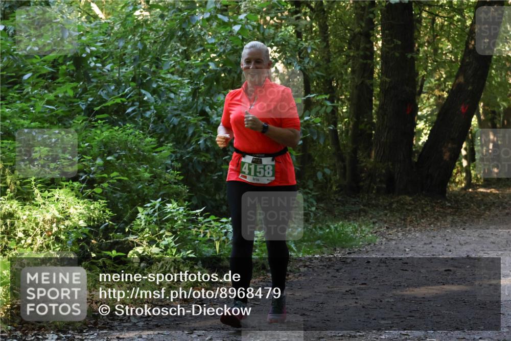 28.09.2025 - 33. Volkslauf durch das schöne Alstertal Strokosch-Dieckow http://msf.ph/oto/8968479 28.09.2025 11:01:54 Laufen 4158 meine-sportfotos.de