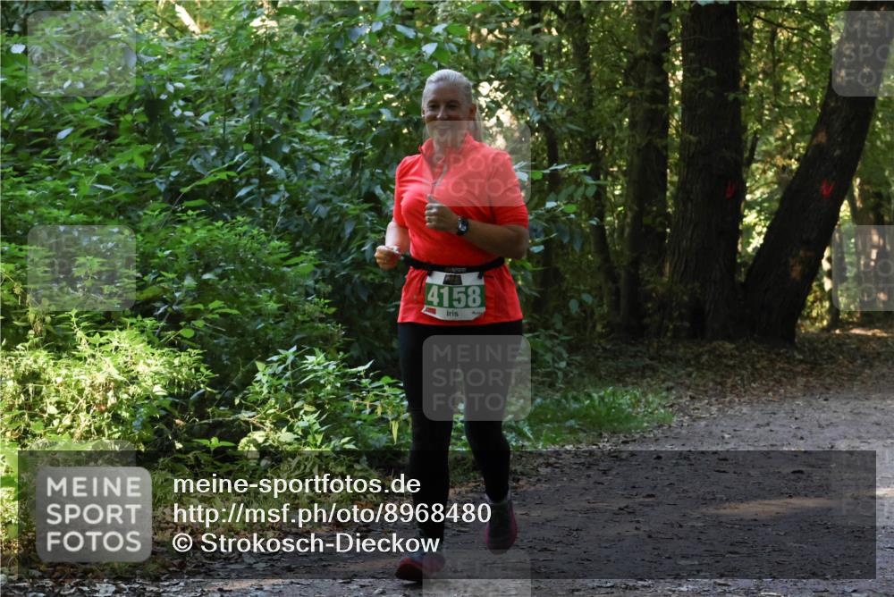28.09.2025 - 33. Volkslauf durch das schöne Alstertal Strokosch-Dieckow http://msf.ph/oto/8968480 28.09.2025 11:01:54 Laufen 4158 meine-sportfotos.de