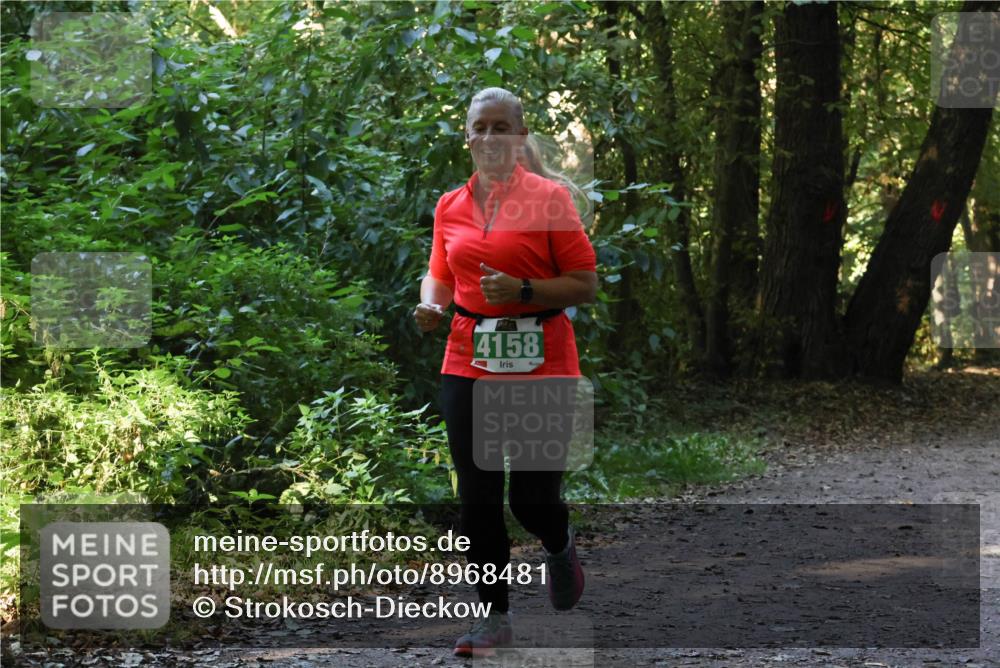 28.09.2025 - 33. Volkslauf durch das schöne Alstertal Strokosch-Dieckow http://msf.ph/oto/8968481 28.09.2025 11:01:54 Laufen 4158 meine-sportfotos.de