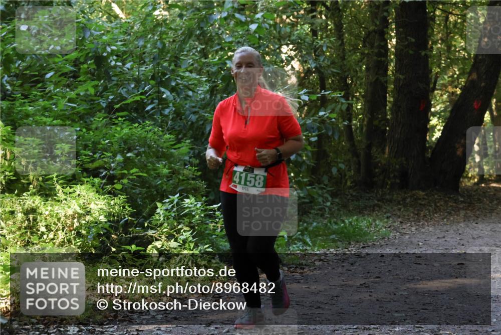 28.09.2025 - 33. Volkslauf durch das schöne Alstertal Strokosch-Dieckow http://msf.ph/oto/8968482 28.09.2025 11:01:54 Laufen 4158 meine-sportfotos.de