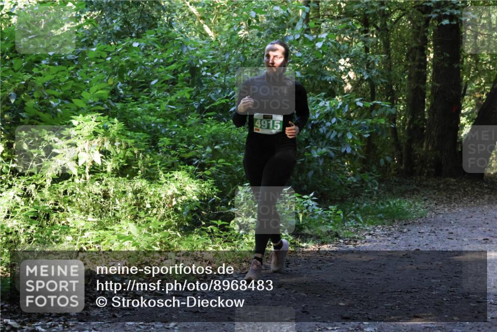28.09.2025 - 33. Volkslauf durch das schöne Alstertal Strokosch-Dieckow http://msf.ph/oto/8968483 28.09.2025 11:02:31 Laufen 4915 meine-sportfotos.de