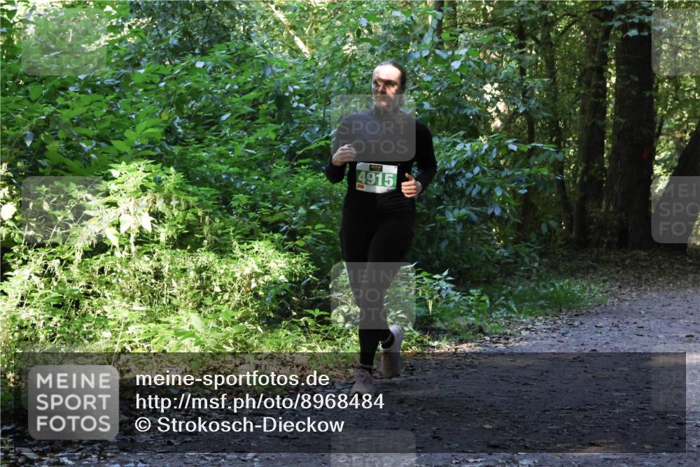 28.09.2025 - 33. Volkslauf durch das schöne Alstertal Strokosch-Dieckow http://msf.ph/oto/8968484 28.09.2025 11:02:31 Laufen 4915 meine-sportfotos.de