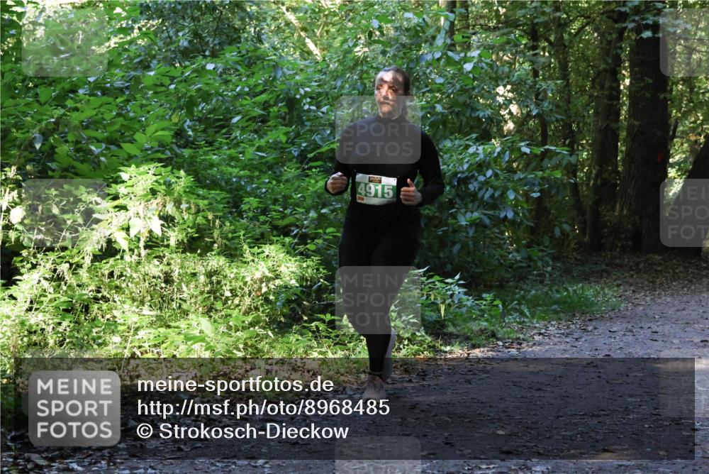 28.09.2025 - 33. Volkslauf durch das schöne Alstertal Strokosch-Dieckow http://msf.ph/oto/8968485 28.09.2025 11:02:31 Laufen 4915 meine-sportfotos.de