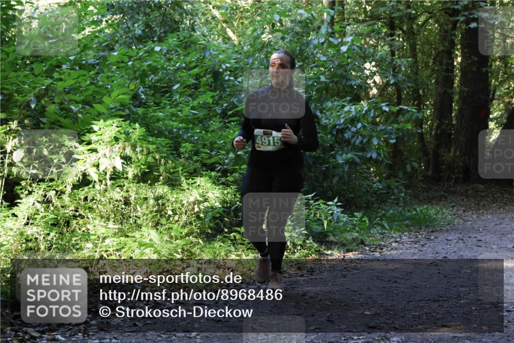 28.09.2025 - 33. Volkslauf durch das schöne Alstertal Strokosch-Dieckow http://msf.ph/oto/8968486 28.09.2025 11:02:31 Laufen 4915 meine-sportfotos.de